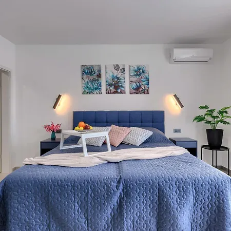 Blue Rose By Interhome Воднян