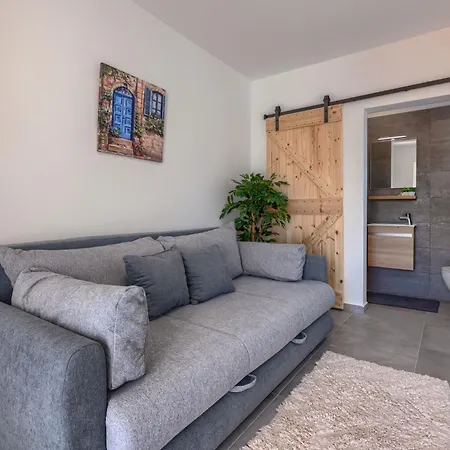 Blue Rose By Interhome *
