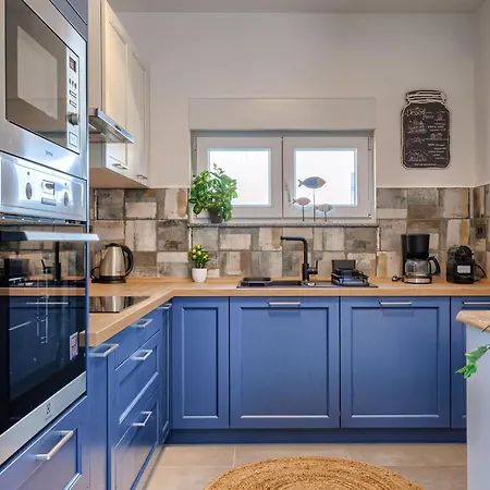Blue Rose By Interhome *
